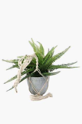 Hanging Macrame Fern