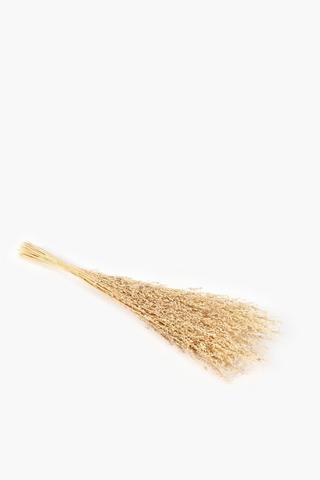 Ditsy Dried Bouquet