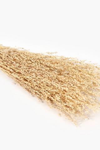 Ditsy Dried Bouquet