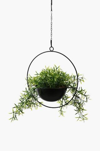 Urban Spikey Hanging Plant