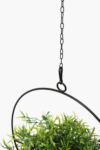 Urban Spikey Hanging Plant