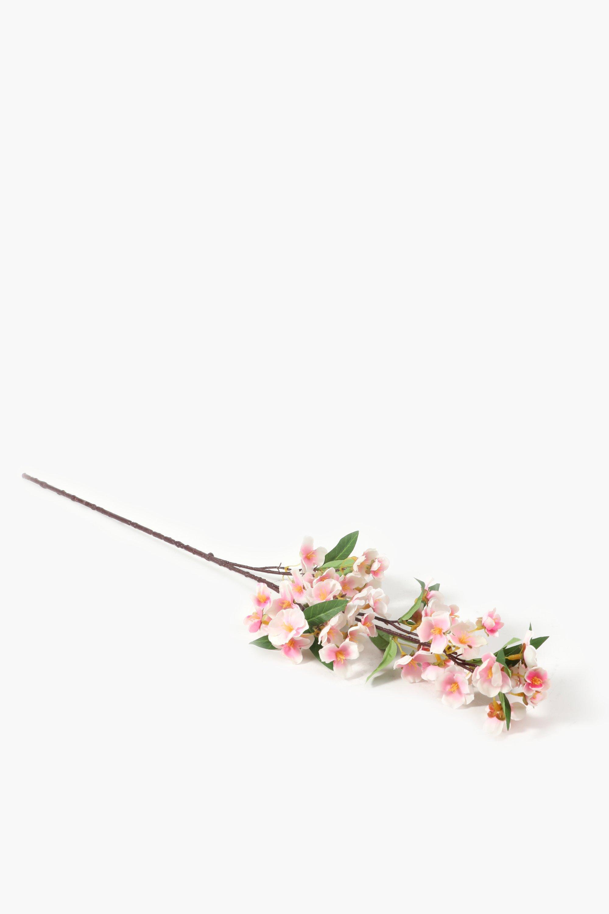 Crepe Myrtle Single Stem