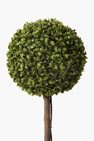 Lollipop Tree In White Pot
