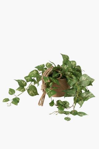 Woven Hanging Trailing Plant