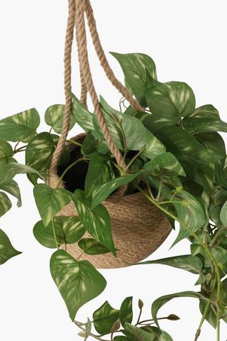 Woven Hanging Trailing Plant