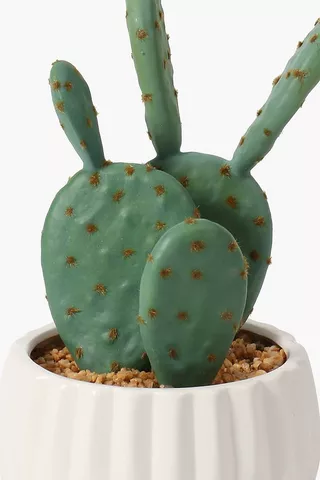 Cement Potted Cactus, 24cm

