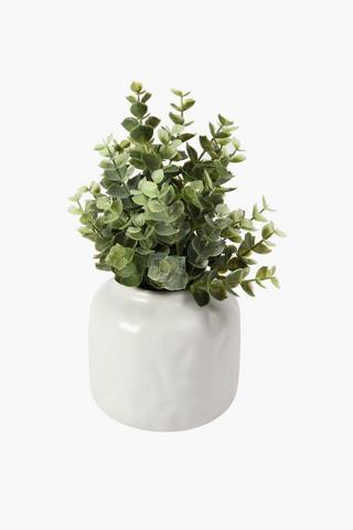Gum Leaf In Ceramic Pot