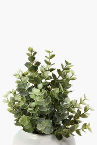 Gum Leaf In Ceramic Pot