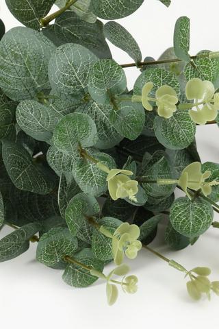 Gum Leaf Bunch