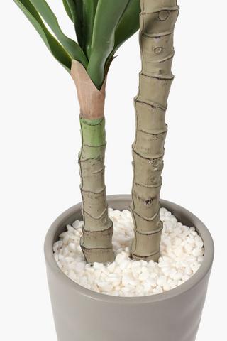 Potted Yucca Tree 115cm