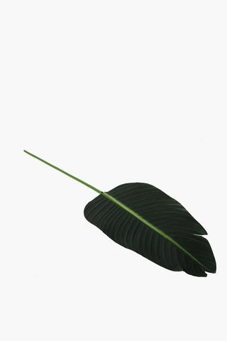 Banana Leaf