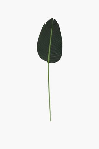 Banana Leaf