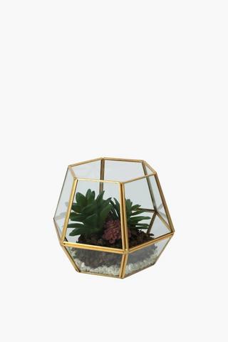 Succulents In Glass Terrarium