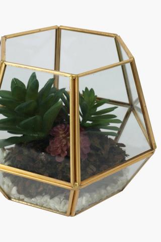 Succulents In Glass Terrarium