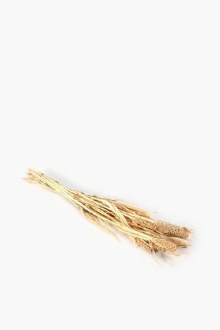 Dried Grass Bouquet