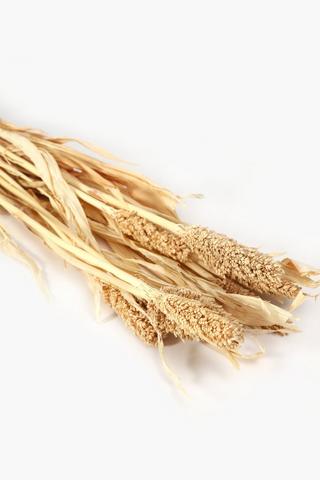 Dried Grass Bouquet