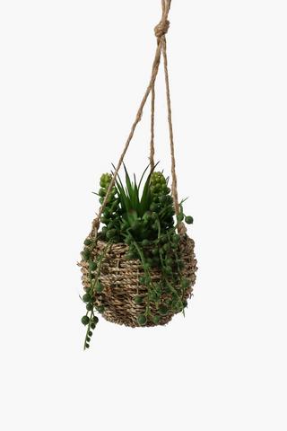 Woven Basket Hanging Succulent