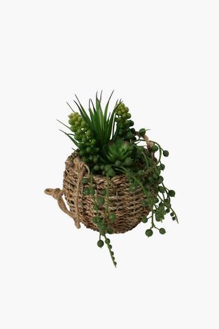 Woven Basket Hanging Succulent