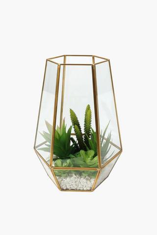Multi Succulent Terrarium, Large