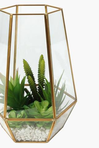 Multi Succulent Terrarium, Large