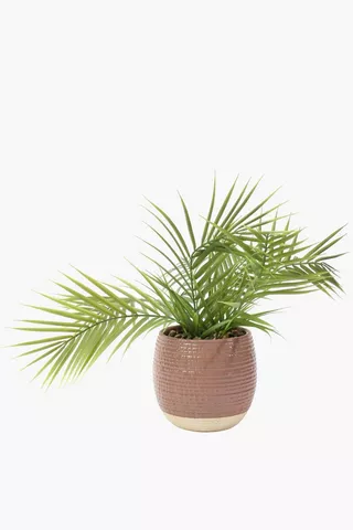 Reactive Pot Palm, 17x50cm
