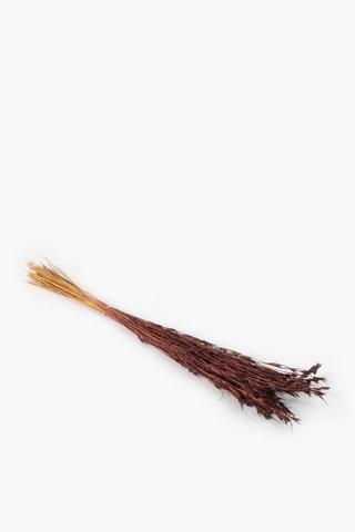 Dried Grass Bunch