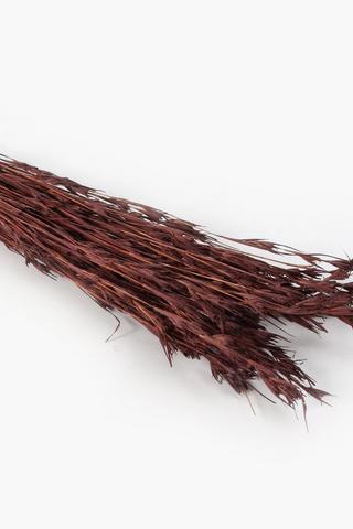 Dried Grass Bunch