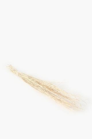 Dried Stick Bouquet, Xl