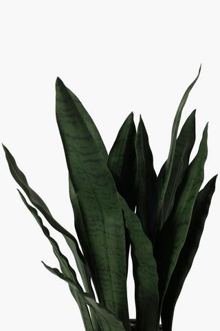 Ceramic Potted Snake Plant