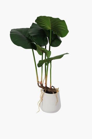 Ceramic Potted Elephant Ear