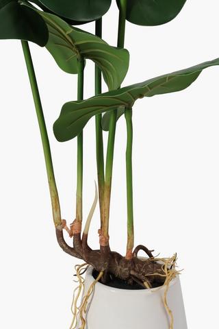 Ceramic Potted Elephant Ear