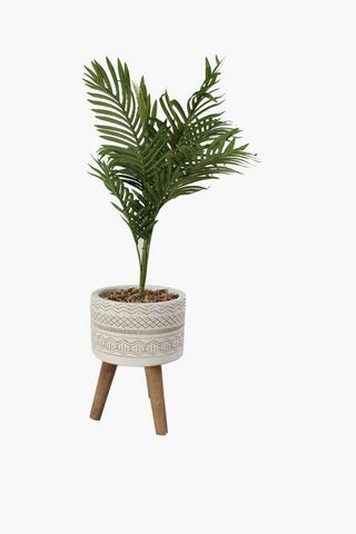 Standing Fern In Cement Pot