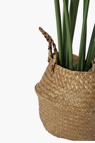 Delicious Monster In Basket