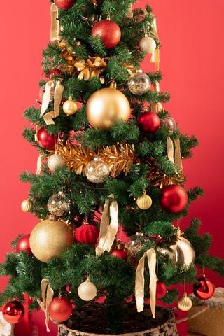 Christmas Tree, 2m