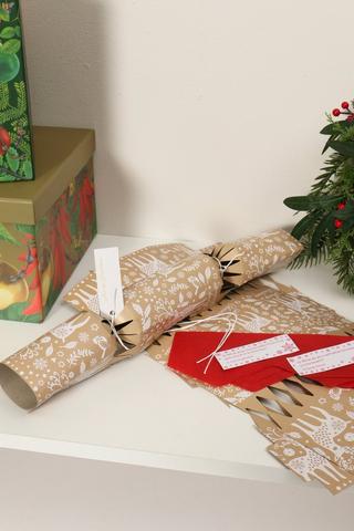 Diy Cracker Pack