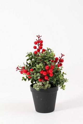 Plastic Potted Berry Tree