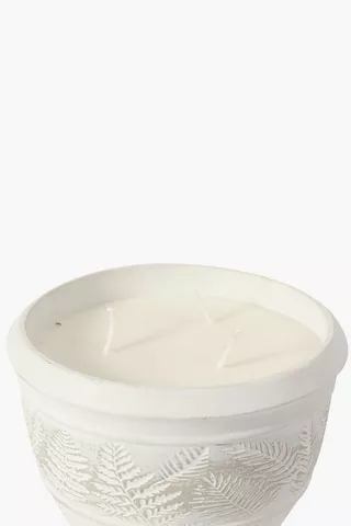 Fern Cement Waxfill Candle