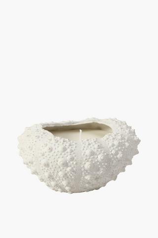Ceramic Sea Urchin Waxfill Candle Large