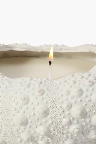 Ceramic Sea Urchin Waxfill Candle Large