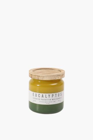 Eucalyptus Glass Candle