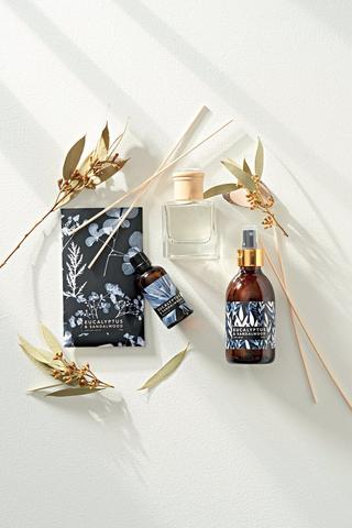 Eucalyptus And Sandalwood Reed Diffuser 100ml