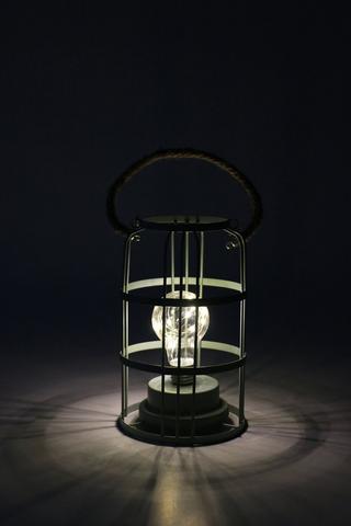 Cage Led Lamp