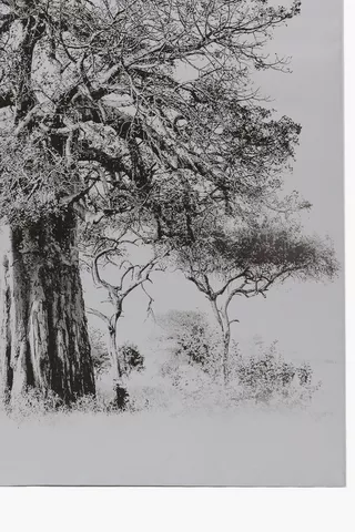 Baobab Printed Canvas, 100x100cm
