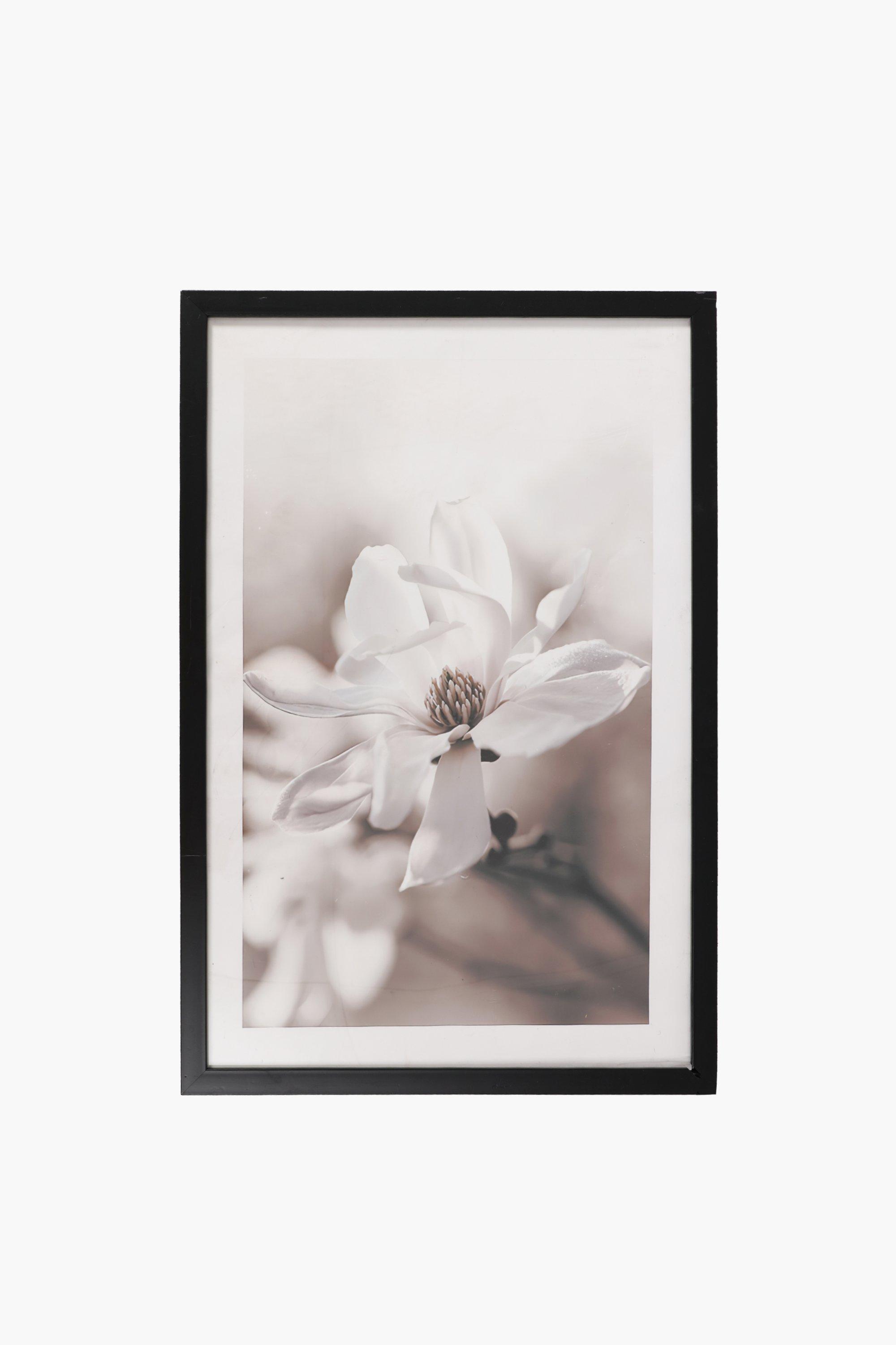 Framed Flower Wall Art, 40x60cm