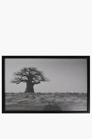 Baobab Framed Wall Art, 40x60cm