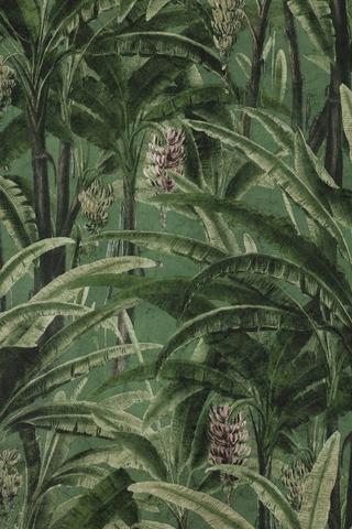 Easy Peel Tropical Fern Wallpaper, 10mx53cm