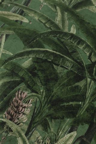 Easy Peel Tropical Fern Wallpaper, 10mx53cm