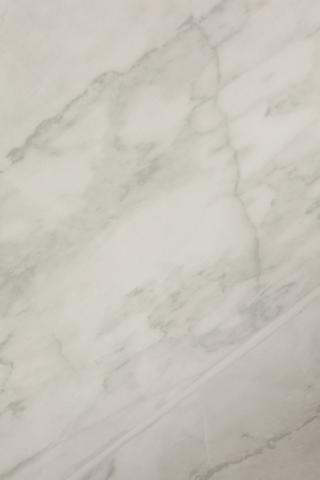 Feather Metallic Wallpaper, 10mx53cm