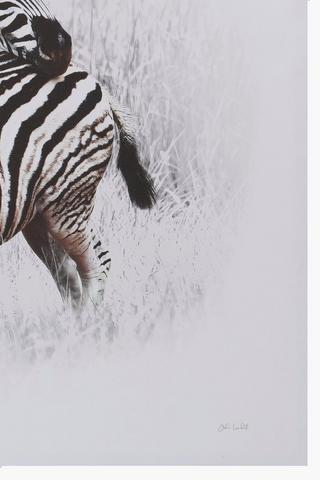 Zebra Duo Canvas Wall Art, 90x120cm