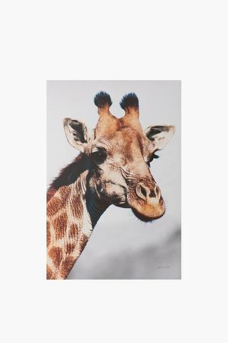 Giraffe Printed Canvas, 60x90cm
